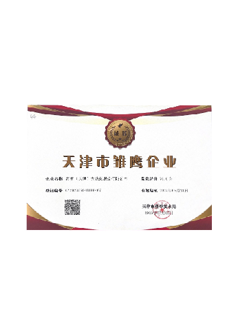 雛鷹企業證書